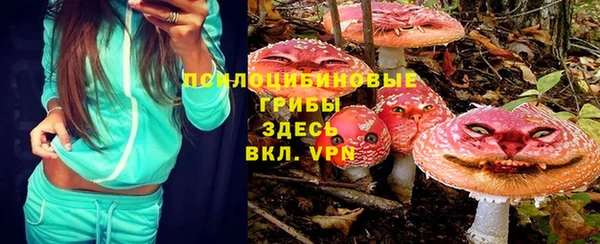 мяу мяу мука Беломорск