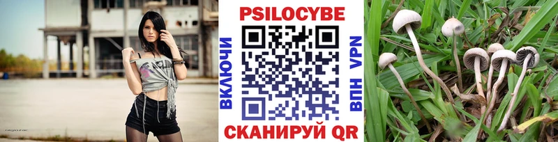 Галлюциногенные грибы Psilocybine cubensis купить цена Бугульма